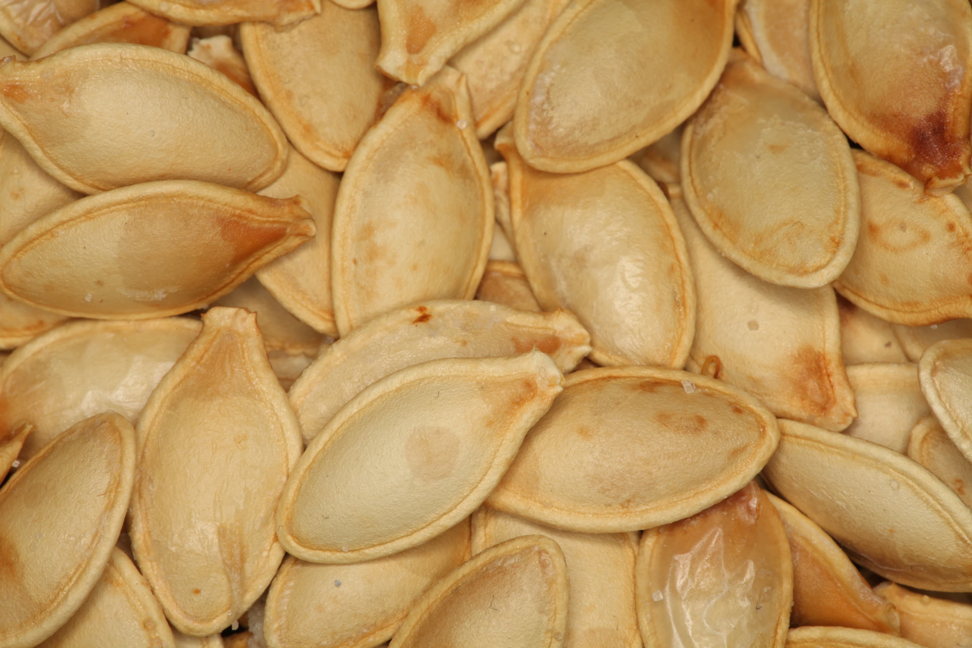 Raw AAA Pumpkin Seeds Pepitas