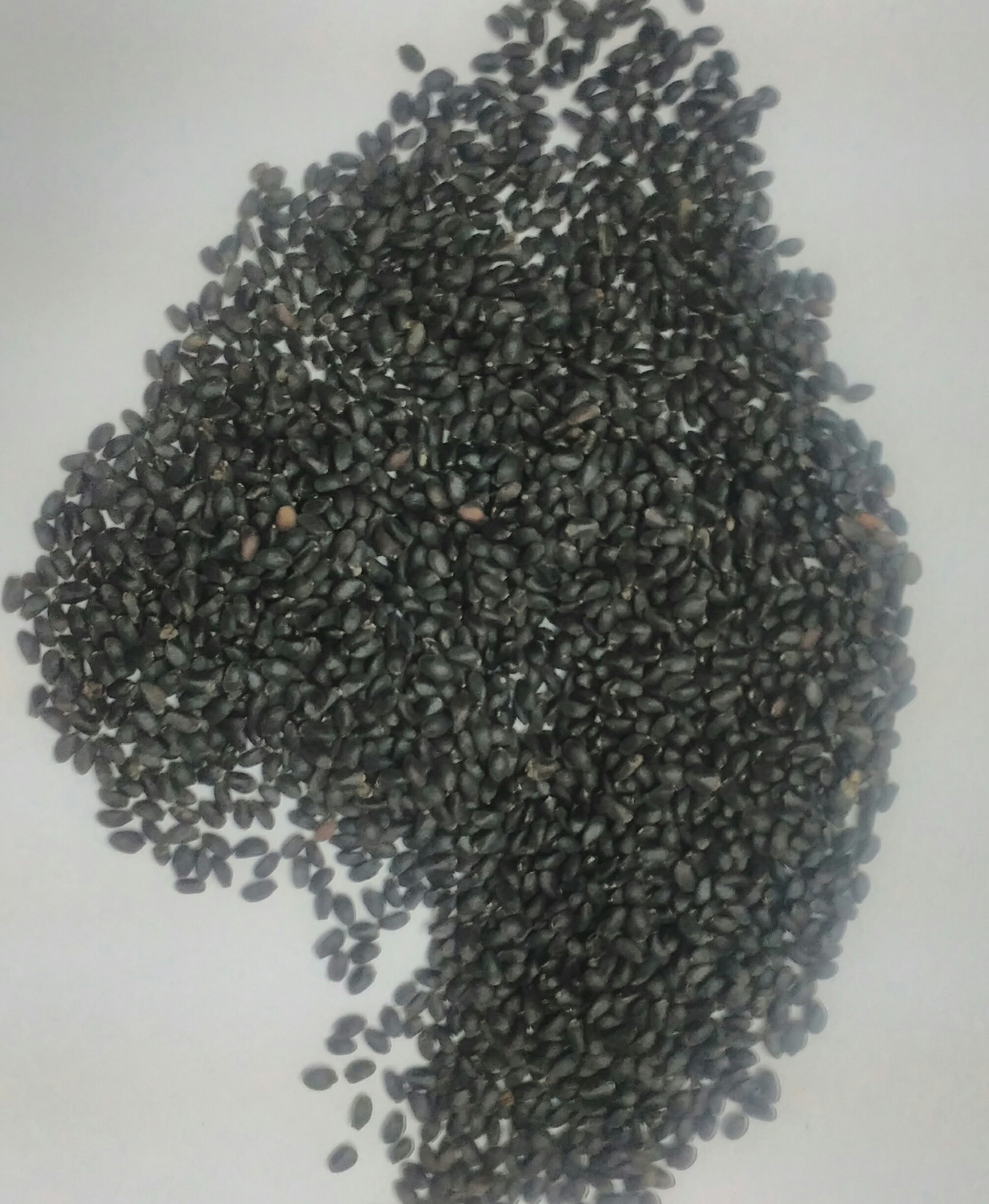 Pure Organic Sabja / Basil Seeds