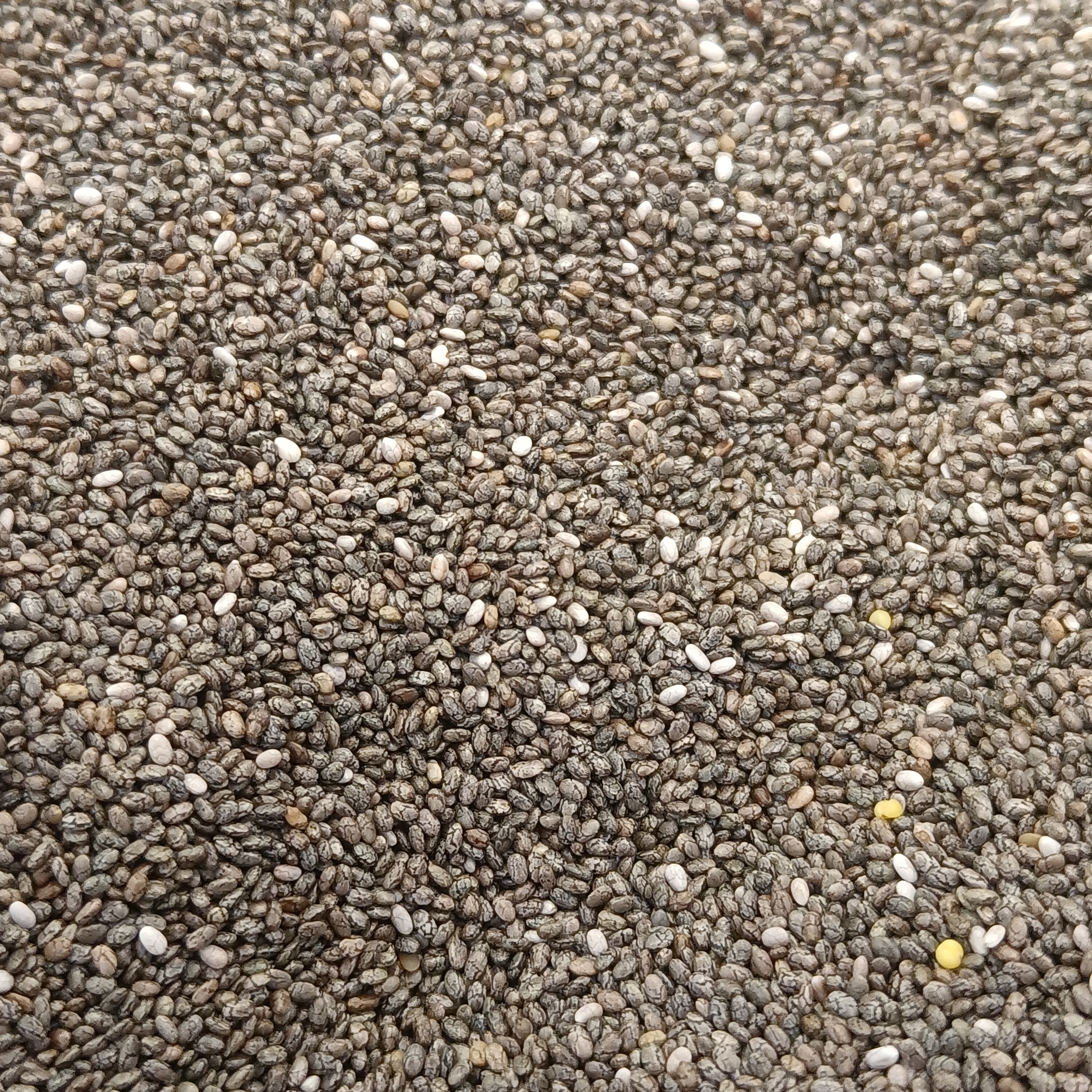 Royal Black Chia Seeds Reserve